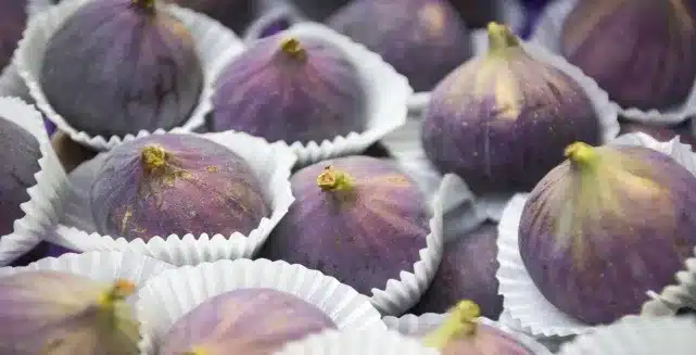 İncir İhracatında Hedef 100 Milyon Dolar